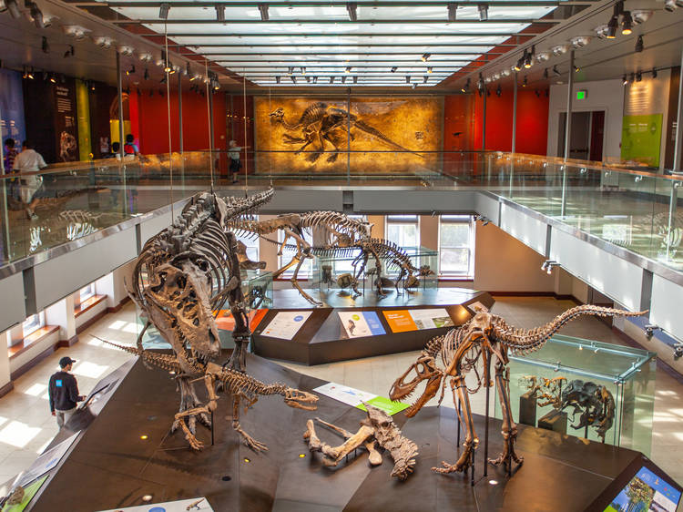 museum是什么意思?n. 博物馆museum 的学习方法【知识点总结】_夸克英语笔记